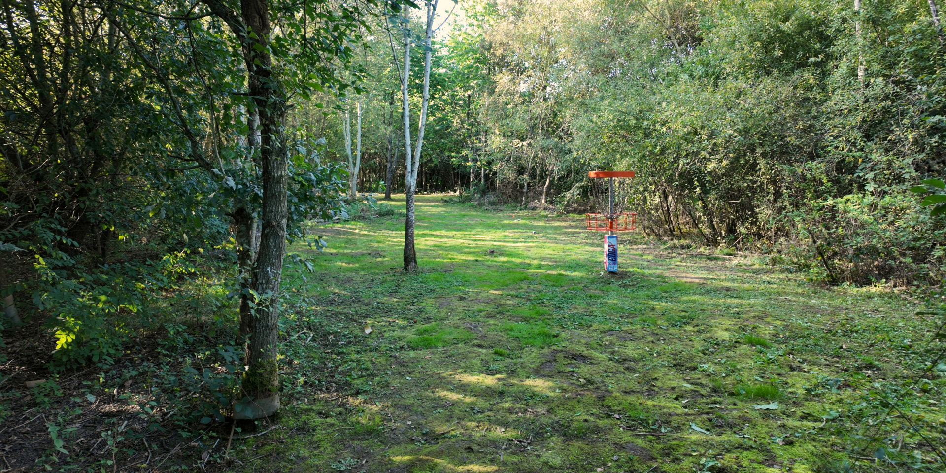 Players at The National Disc Golf Course