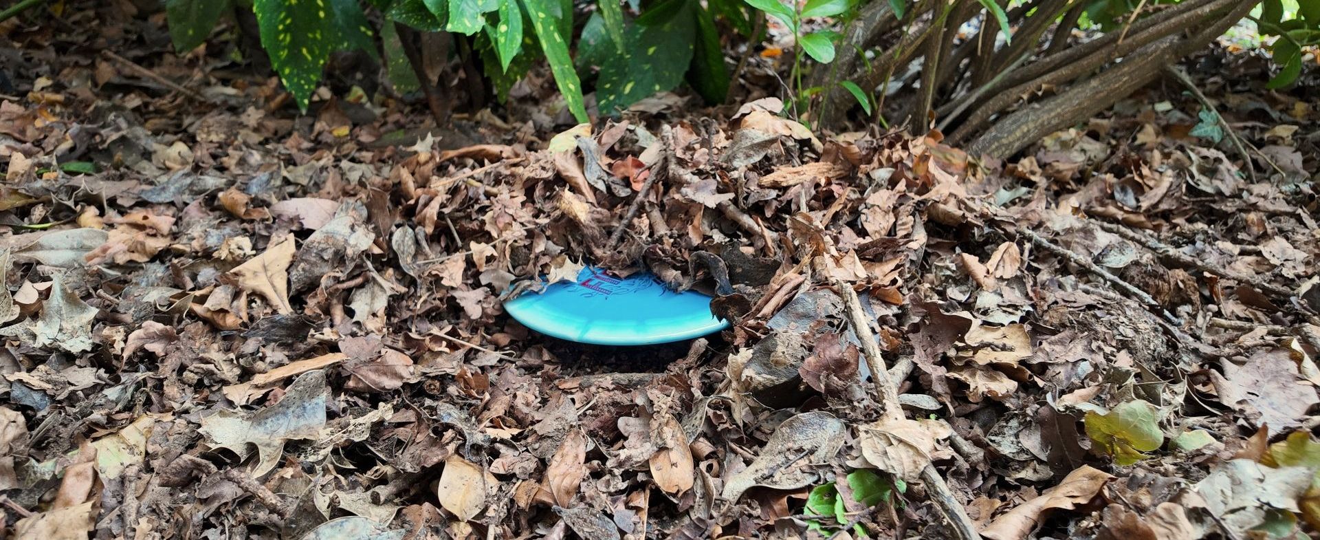 Players at The National Disc Golf Course